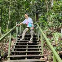 Spring Garden Kundasang, A Slice of Nature's Paradise
