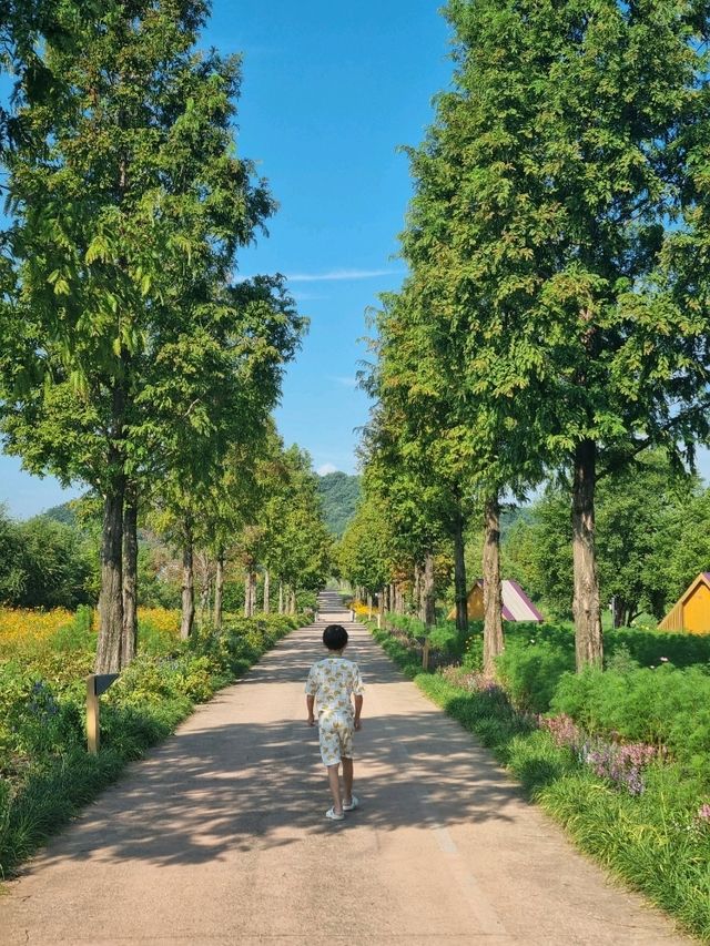 추석 나들이 장소는 이곳!