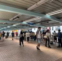 香港行之颱風追著跑🌀