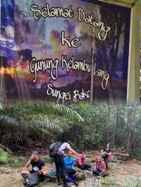 Exploring the Hidden Wonders of Gunung Kelambu Lang: A Guided Jungle Adventure