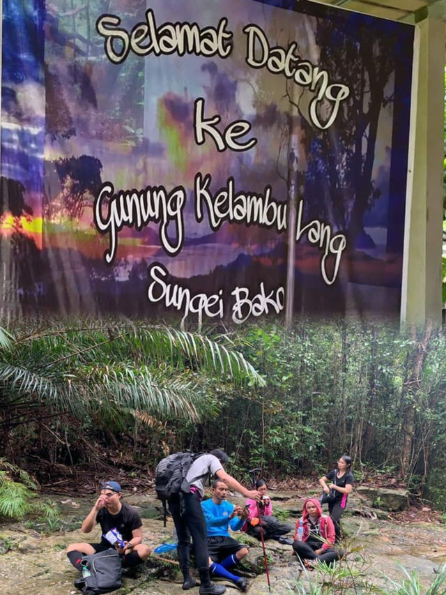 Exploring the Hidden Wonders of Gunung Kelambu Lang: A Guided Jungle Adventure
