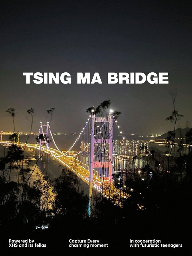  【現代建築】香港的大橋代表作 青馬大橋