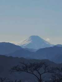 ✨️日本東京高尾山🎋✨️