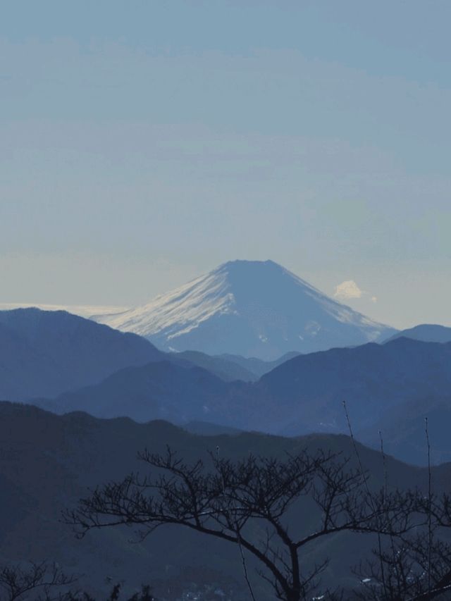 ✨️日本東京高尾山🎋✨️