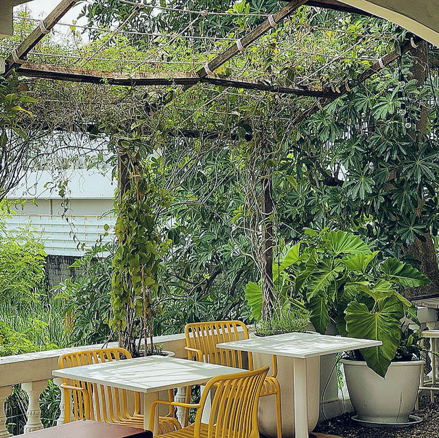 Summer Rain Cafe & Casual Dining
