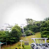 新加坡斜坡滑車：刺激好玩的叢林飆速體驗