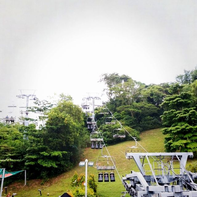 新加坡斜坡滑車：刺激好玩的叢林飆速體驗