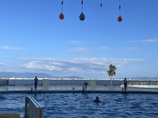 マリンワールド海の中道🐬💙🦦🐟