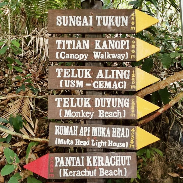 "Discovering the Natural Wonders of Penang National Park"