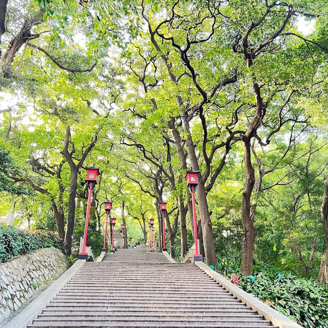 Guangzhou’s Largest Urban Park