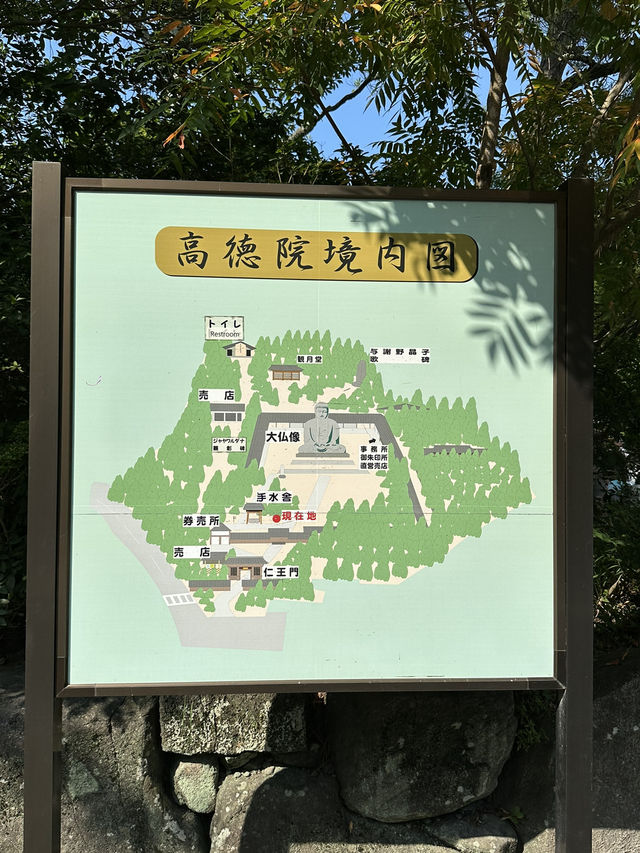 【鎌倉】觀光必到路線-高德院 鎌倉大佛