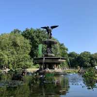 Urban Oasis: A Perfect Day in Central Park