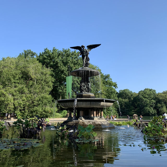 Urban Oasis: A Perfect Day in Central Park