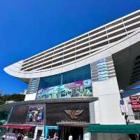 Victoria Peak: Where Hong Kong Unfolds Beneath You