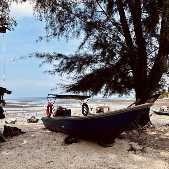 "Nature's Retreat: A Memorable Stay at H&N Campsite, Port Dickson"