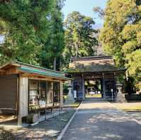 若狭姫神社と若狭彦神社