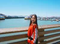 샌프란시스코 PIER39