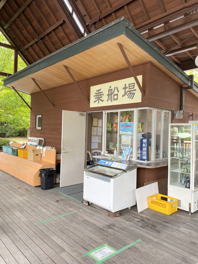 【淡路島】足漕ぎスワンボート