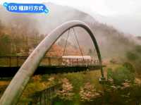 四國泡湯-日本三大秘境之湯：祖谷溫泉