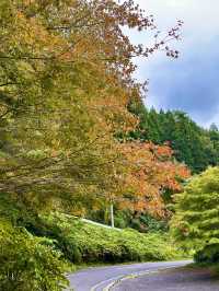 October in Nakatsugawa: A Perfect Autumn Getaway 🍂