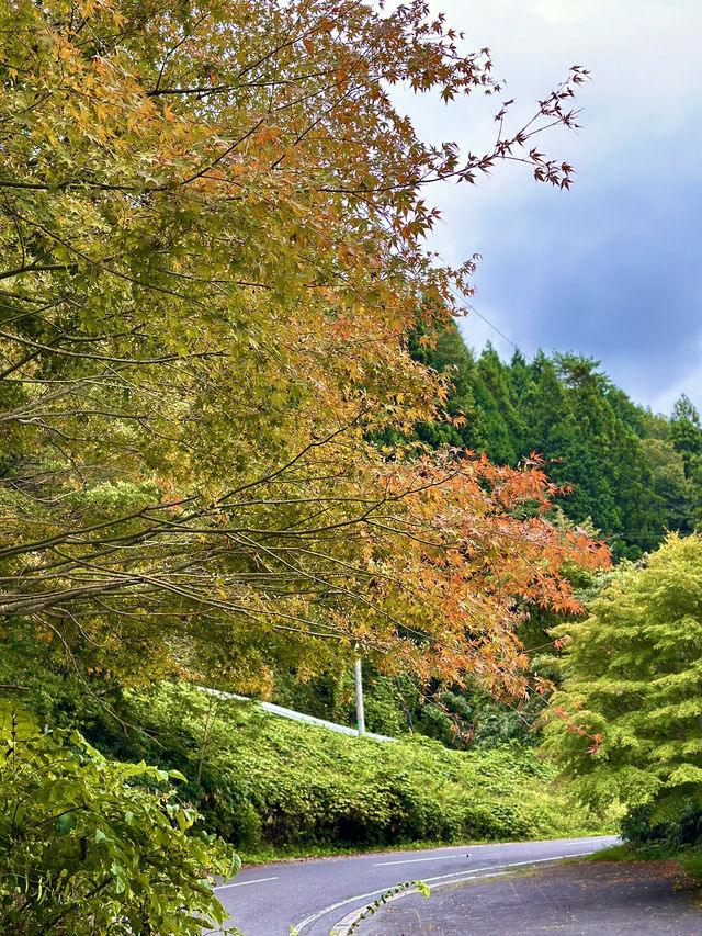 October in Nakatsugawa: A Perfect Autumn Getaway 🍂