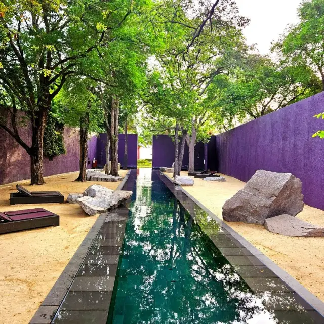 特異で素敵なプールがある場所。