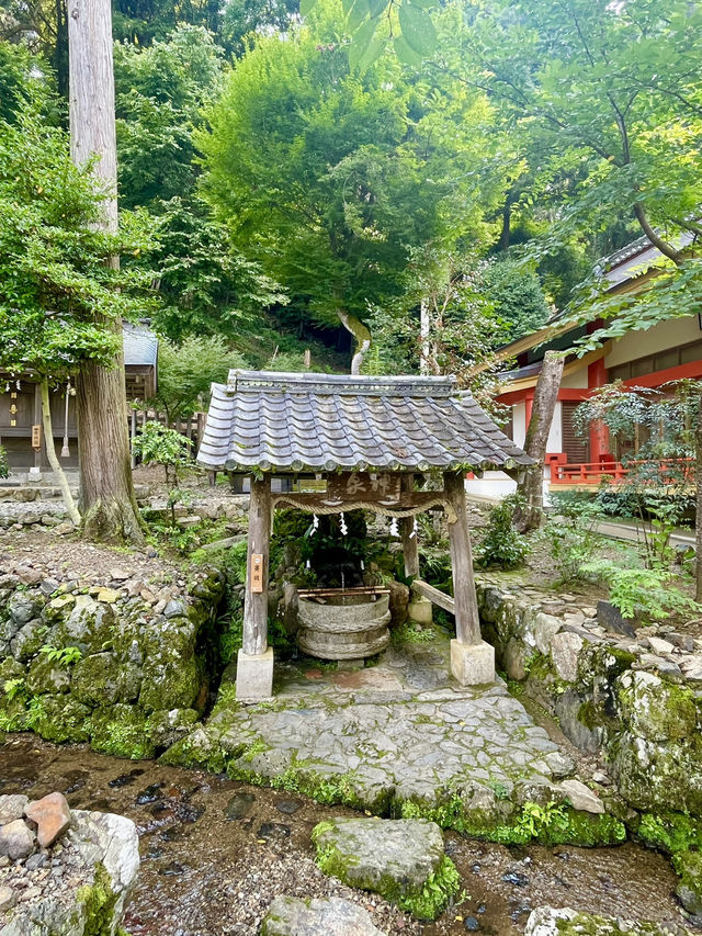 【京都府】曲水の庭に注がれるパワースポット