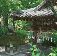 【京都観光】酒造りと縁結びの神様を祀る！「松尾大社」⛩️ 🍶
