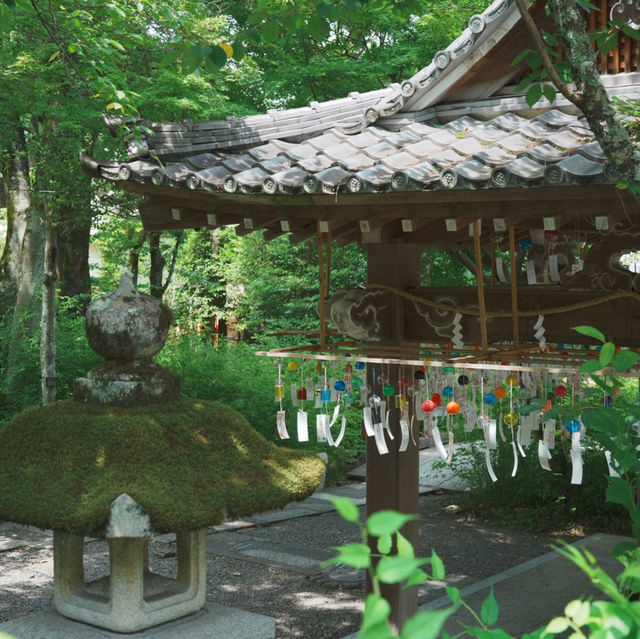 【京都観光】酒造りと縁結びの神様を祀る！「松尾大社」⛩️ 🍶
