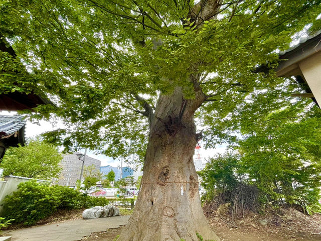 【長野県】善光寺の注連縄などを焼いていた神社