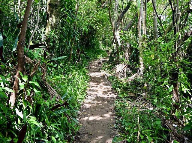 劍潭親山步道-難度適中，位置便利，景色優美，郊遊好選擇