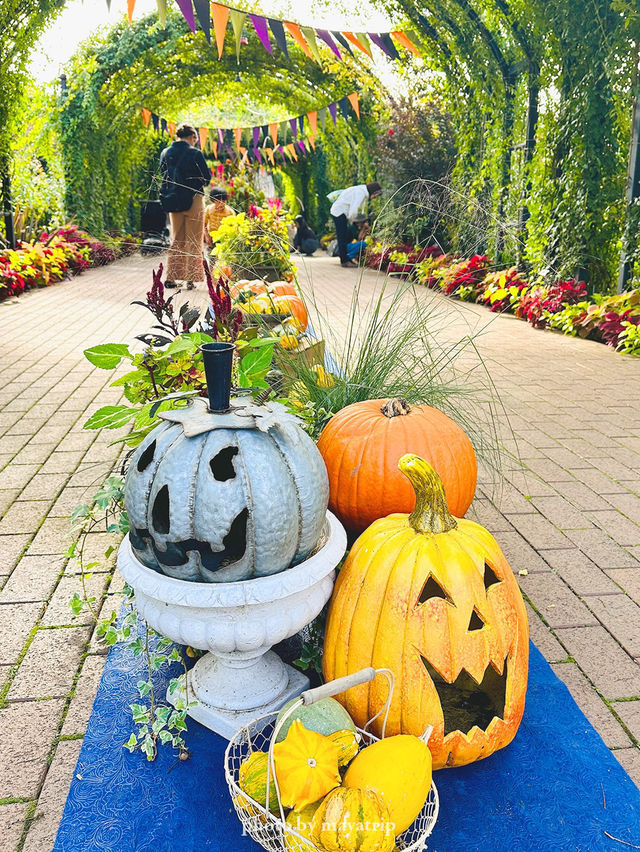 横浜から近いガーデンハロウィン装飾！【神奈川 / 横浜】