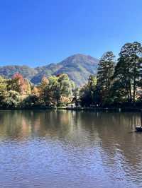 日本獨旅18天Day5 由布院 