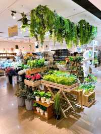 Turtle: Your Go-To-Spot for Stylish Finds in Singapore 