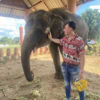 Elephant world
