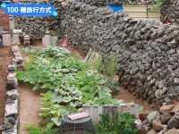 離島的小島，澎湖員貝嶼耍廢半日遊