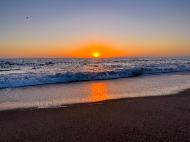 【ナミビア】絶景！スワコプムントのパーム・ビーチの夕日✨