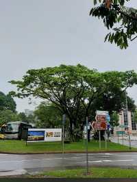 Fort Canning Park