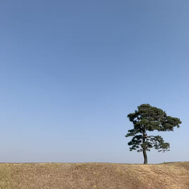청주 야외데이트 사진찍기 좋은 정북동토성 💗
