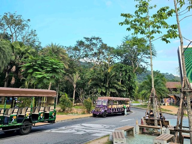 สวนสัตว์เปิดเขาเขียว: ประสบการณ์ในโลกสัตว์ป่า 🦒