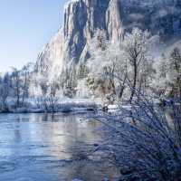 A collection of wintry reflection after fresh snowfall