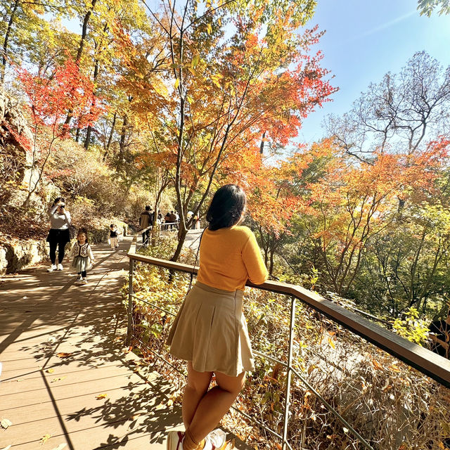 Autumn Hues