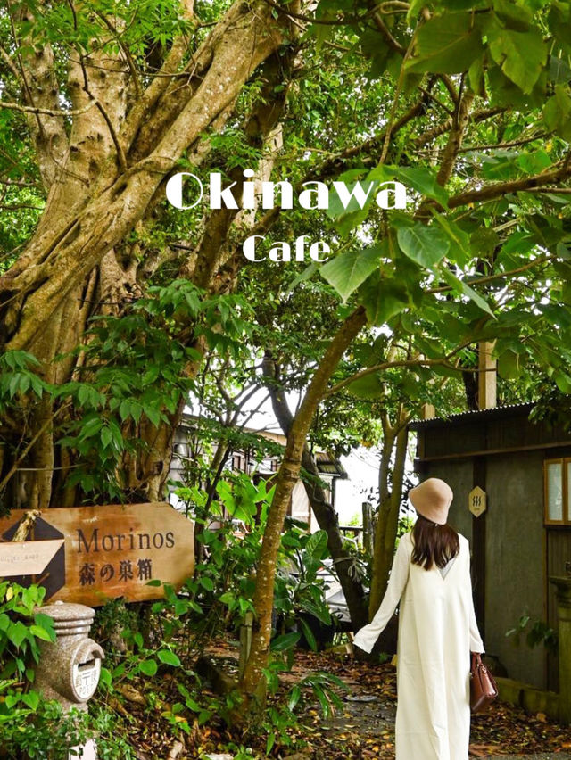 【沖縄旅行】沖縄本島のおすすめカフェ3選☕️