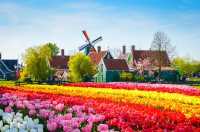 The Culinary Culture, Landscape, and People of the Netherlands