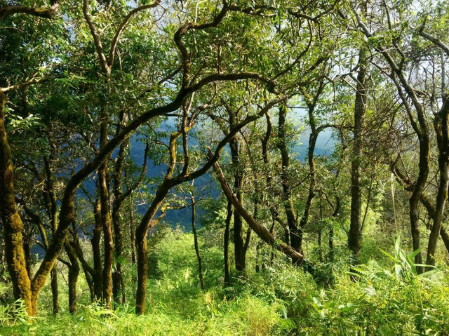 พิชิตหัวใจแห่งขุนเขา ปิตุ๊โกร ⛰️