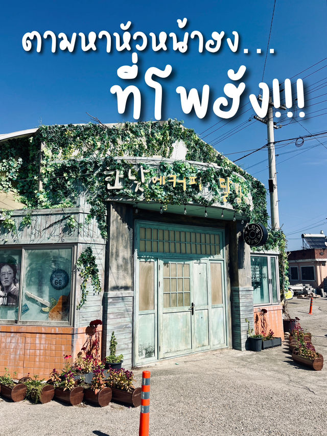 ตามหาหัวหน้าฮง….ที่โพฮัง 😍🇰🇷