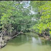 Visited Ujung Kulon National Park