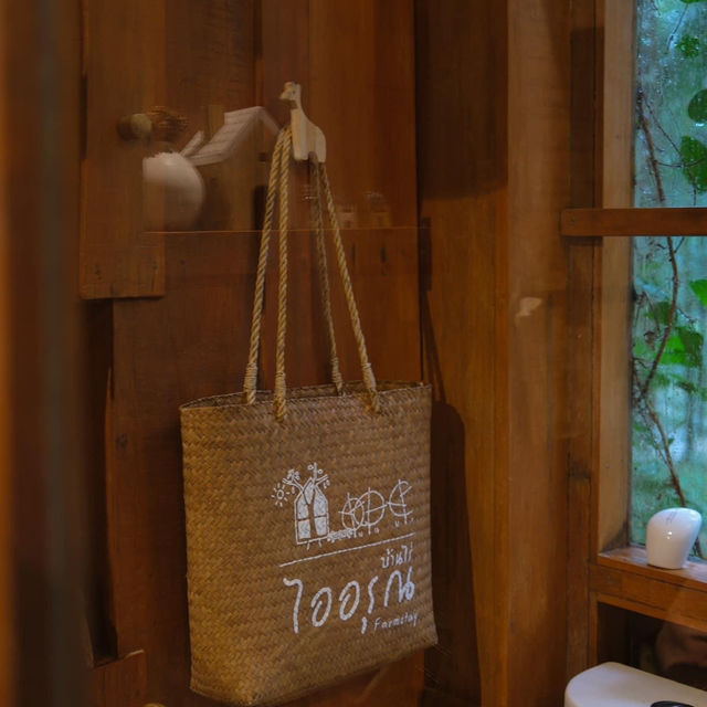 Mood ดี บรรยากาศสุดใจฟู 🏠🌴🍃