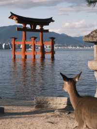 Historical Moment, travelling back in time - A day trip to Hiroshima