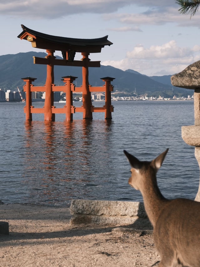 Historical Moment, travelling back in time - A day trip to Hiroshima